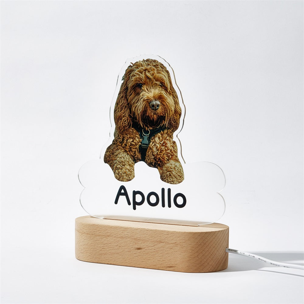 Personalized Pet Shaped LED Night Light Custom Dog Name Table Lamp