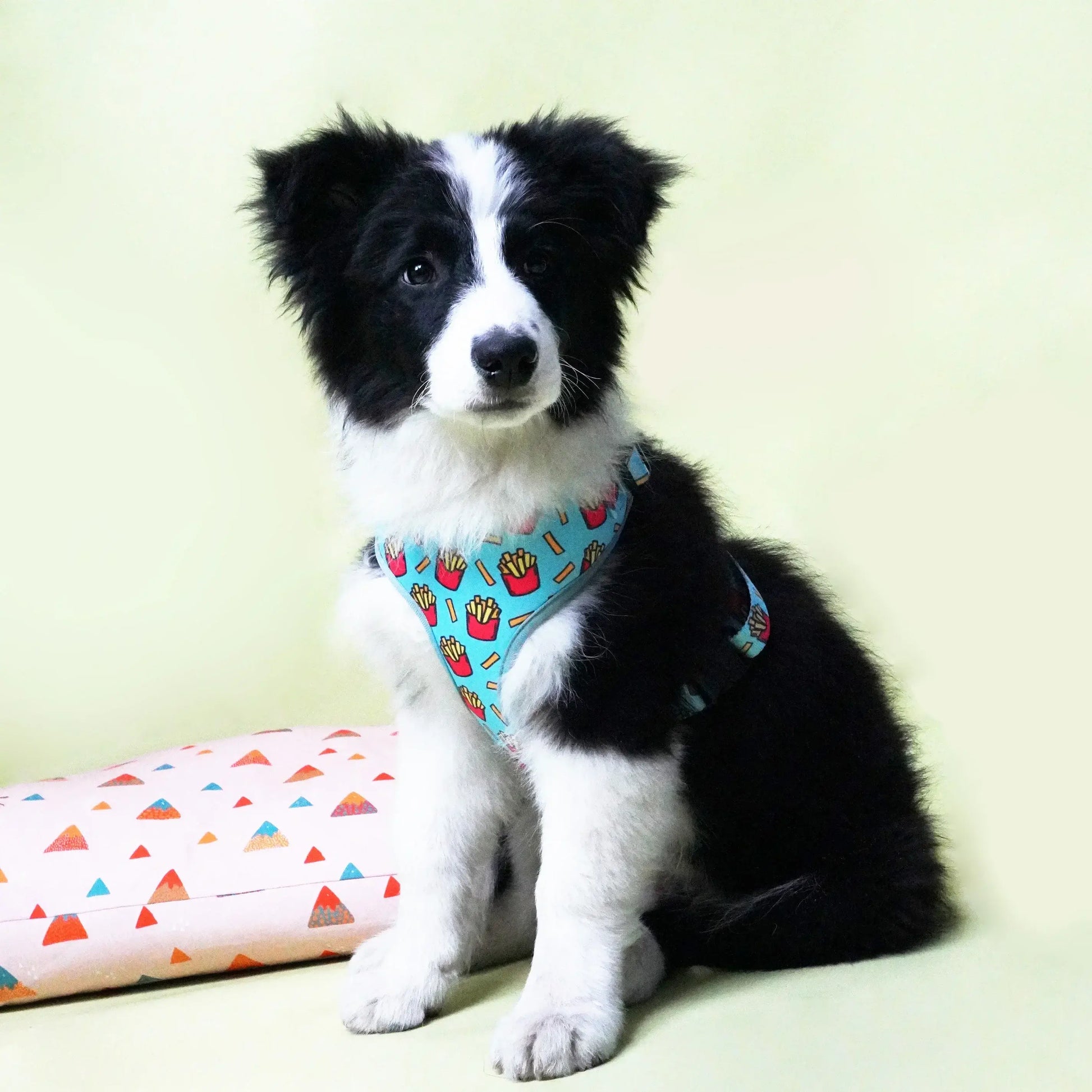 Personalized Fries Dog Collar Bow with Matching Leash and Harness