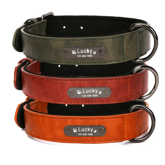 Personalized Luxury Leather Engraved Name Dog Collar 