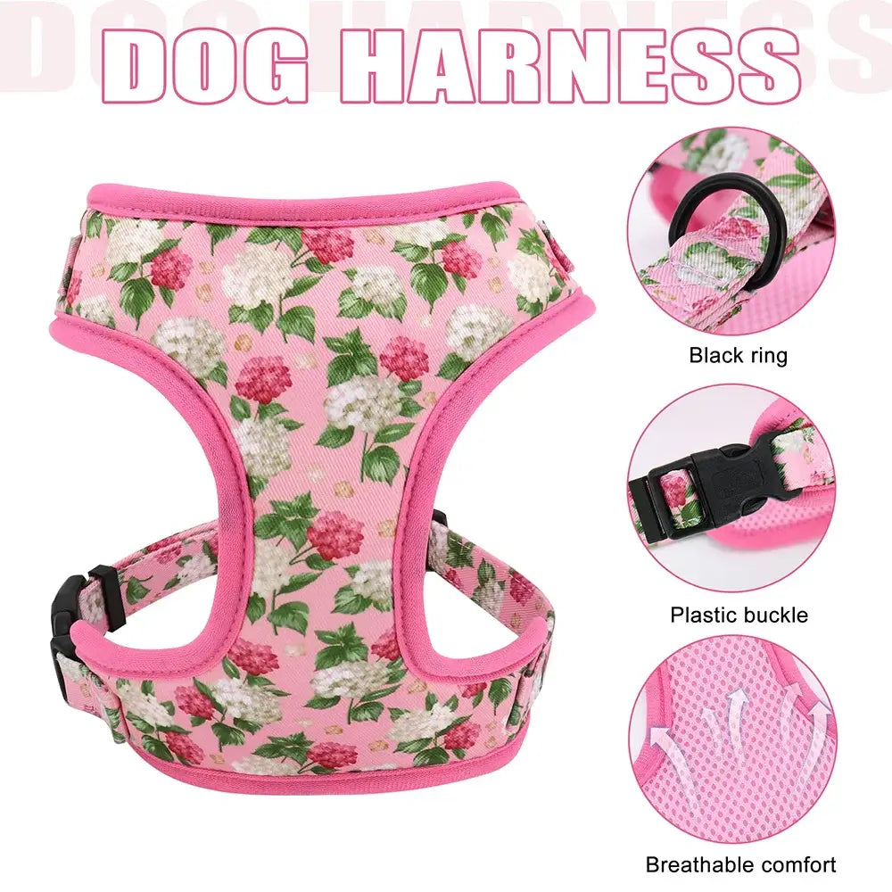 Personalized Floral Dog Collar Leash Harness Set