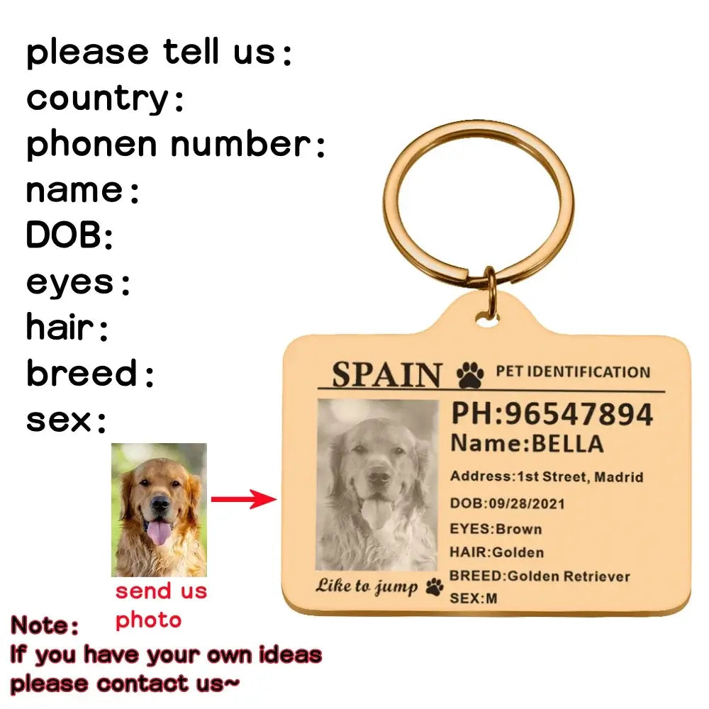 Personalized Custom Stainless-Steel Pet ID Card Tag