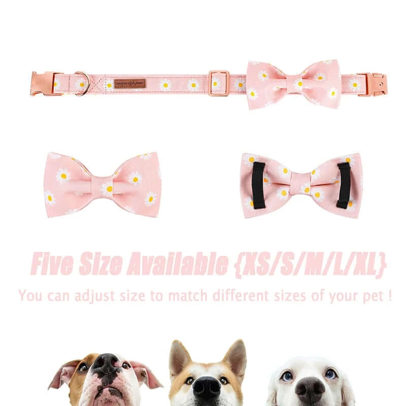 Personalized ID Tag Pink Daisy Summer Dog Collar & Leash