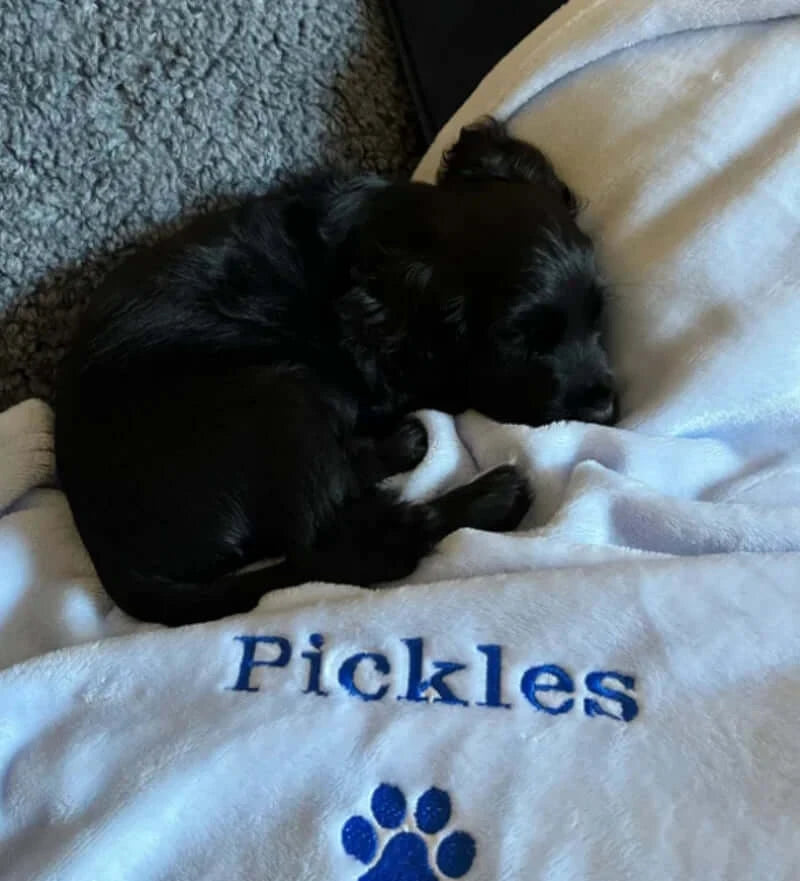 Personalized Embroidered Dog/Cat Puppy/Kitten Blanket.