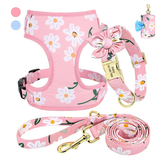 Personalized Pink or Blue Floral Daisy 4pc Dog Collar Harness Leash Set