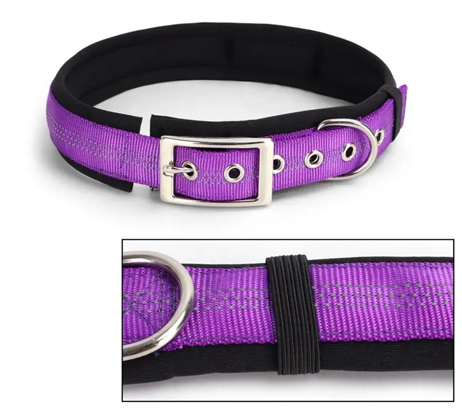 Personalized Premium Reflective Pet Collar 