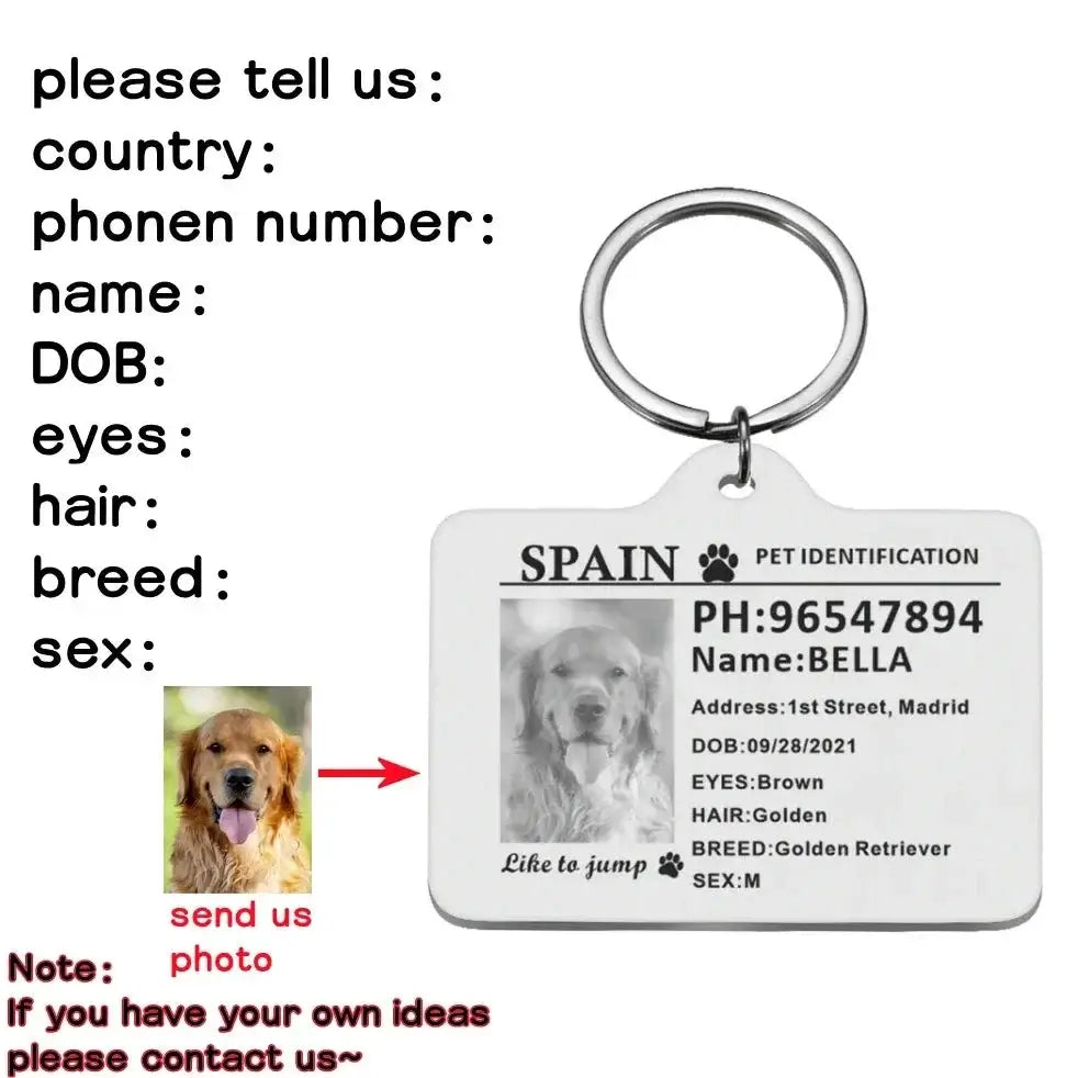 Personalized Custom Stainless-Steel Pet ID Card Tag