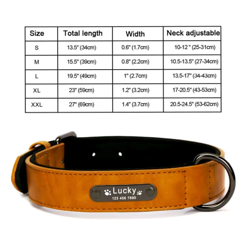 Personalized Leather Dog Collar - 8 Colors