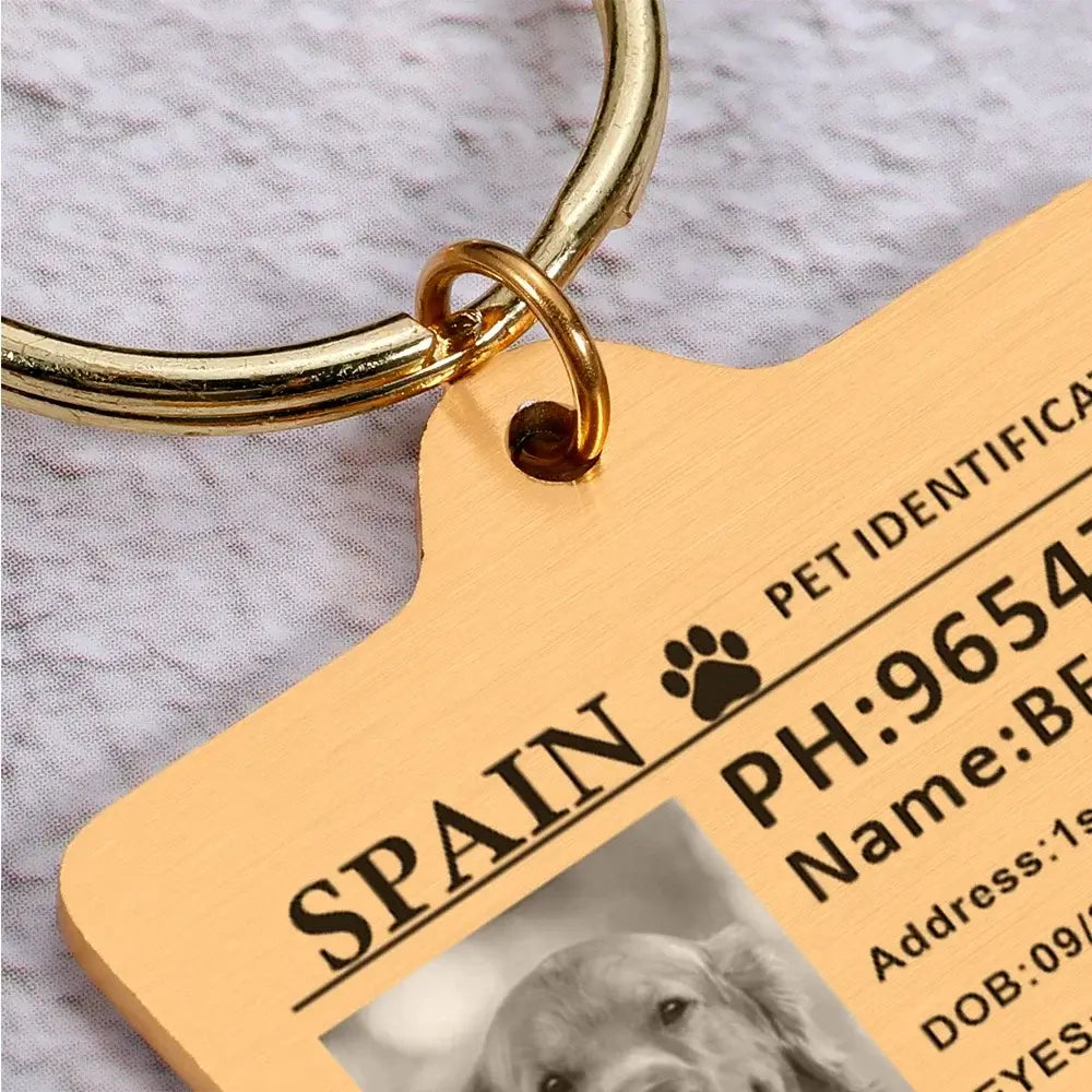 Personalized Custom Stainless-Steel Pet ID Card Tag