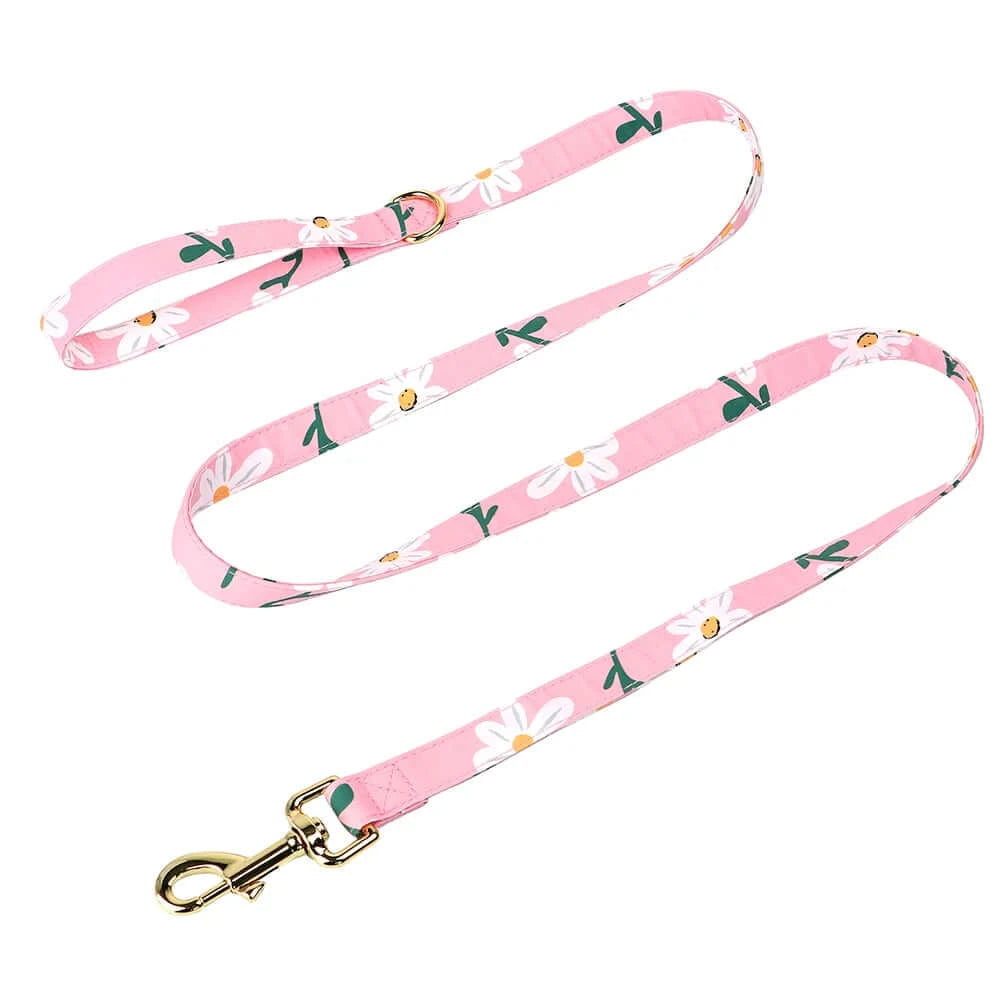 Personalized Pink or Blue Floral Daisy 4pc Dog Collar Harness Leash Set