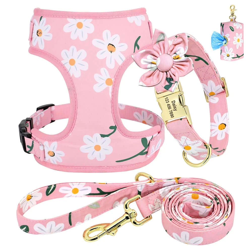 Personalized Pink or Blue Floral Daisy 4pc Dog Collar Harness Leash Set