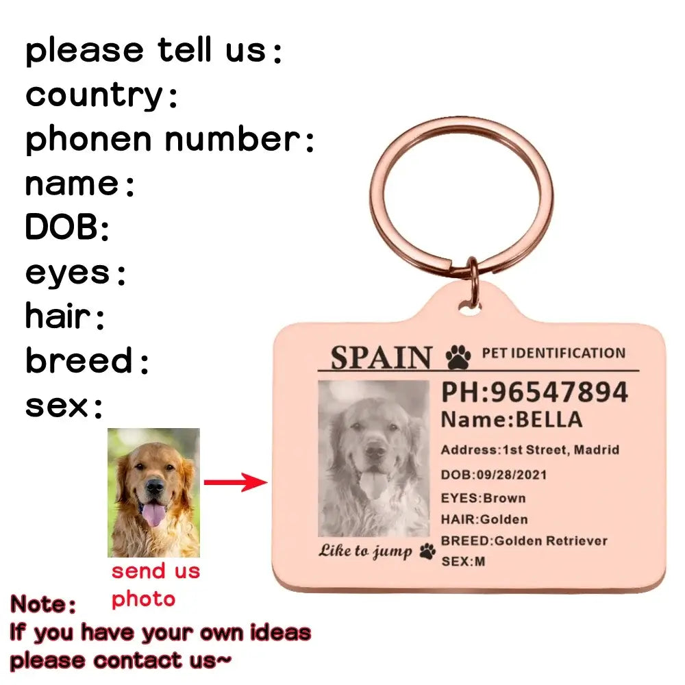 Personalized Custom Stainless-Steel Pet ID Card Tag