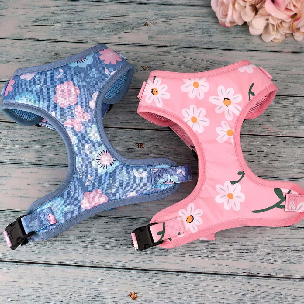 Personalized Pink or Blue Floral Daisy 4pc Dog Collar Harness Leash Set