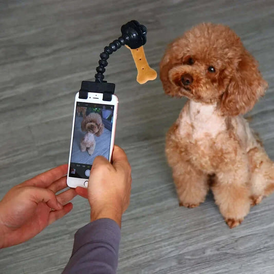 Pet Selfie Stick for Dogs Cat Photography