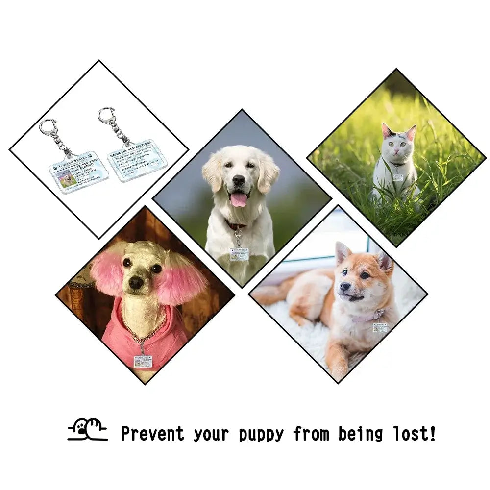 Personalized Custom Acrylic Pet ID Card Collar Tag