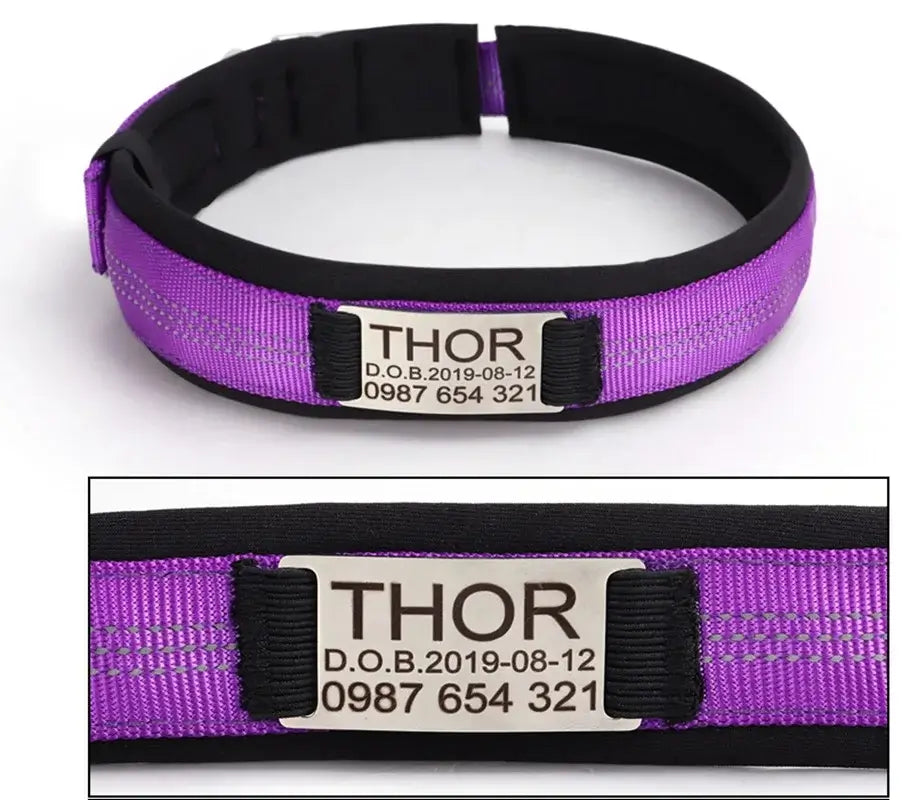 Personalized Premium Reflective Pet Collar 