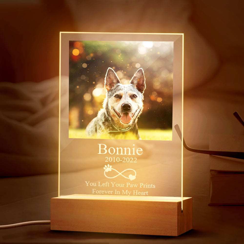 Custom Acrylic Night Light Persoanlized Pet Dog Memorial Led Lamp