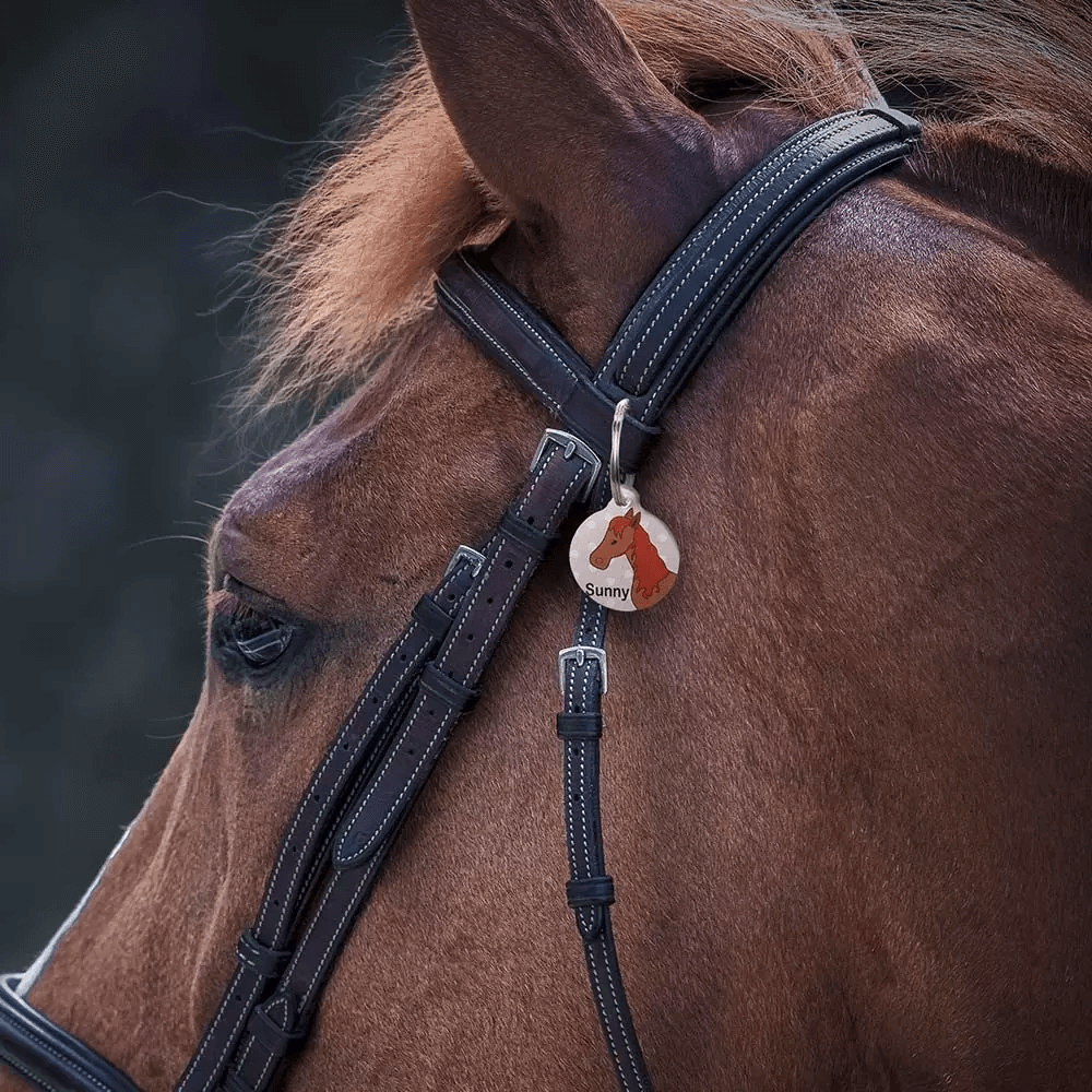 Customized Equestrian Horse ID Tag