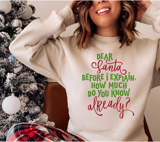 Women's Unisex Dear Santa How Much Do You Know? Funny Crewneck Sweatshirt