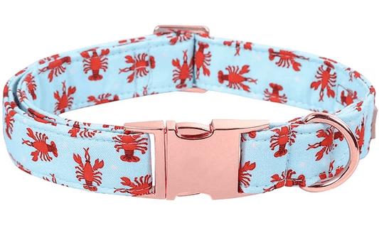 Personalized Lobster Pattern Dog Collar & Leash