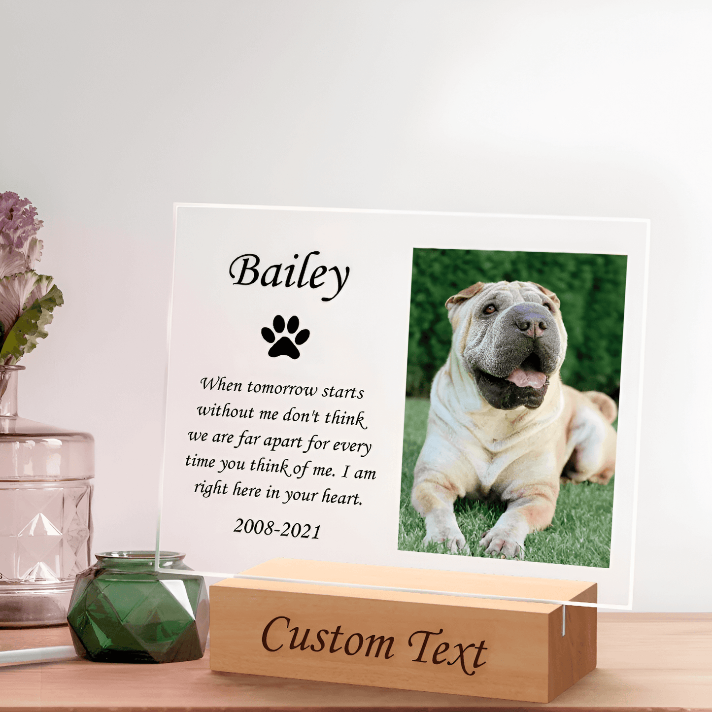 Custom Pet Memorial Night Light Personalized