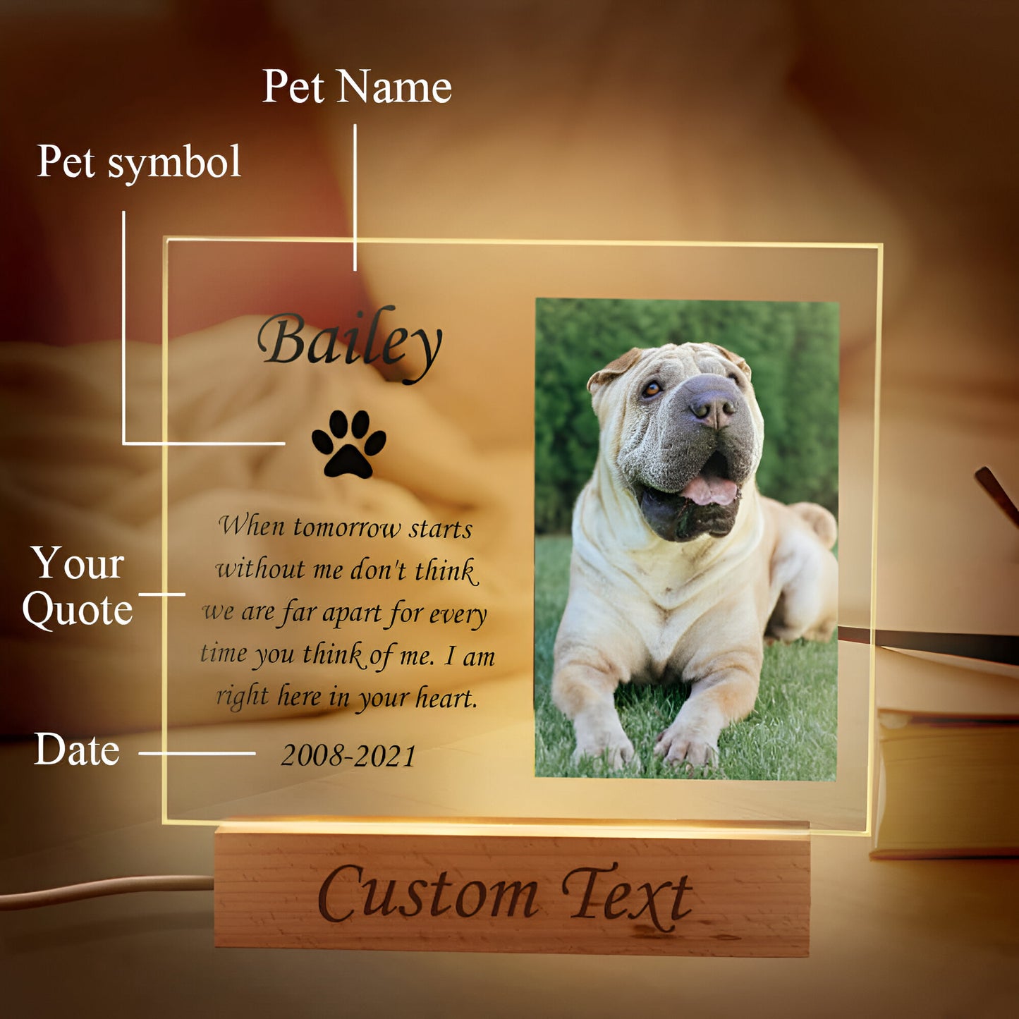 Custom Pet Memorial Night Light Personalized