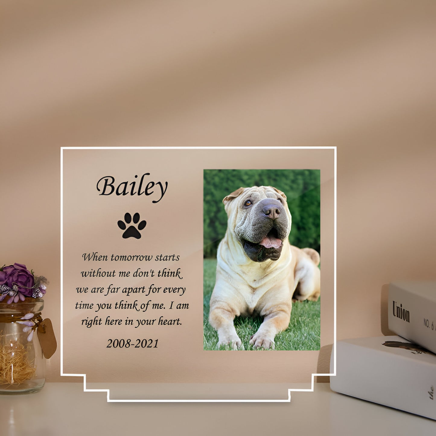 Custom Pet Memorial Night Light Personalized