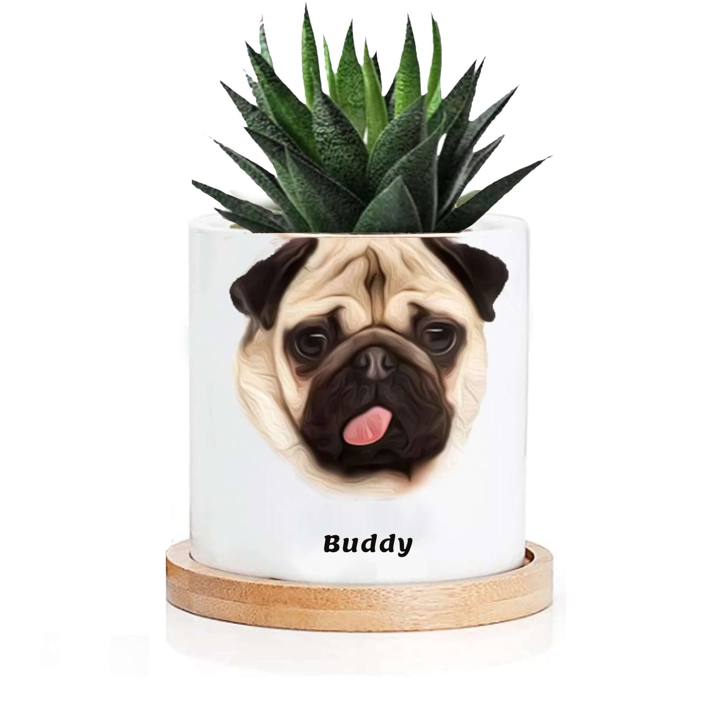 Personalized Cartoon Image Succulent Plant Pot
